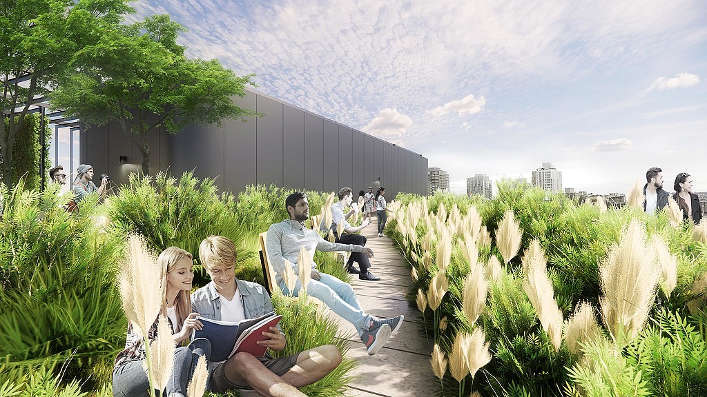 第五大道北 222 号-11