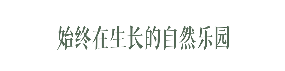 Inez与Vinoodh的家丨Desciencelab,Sachs Lindores-48