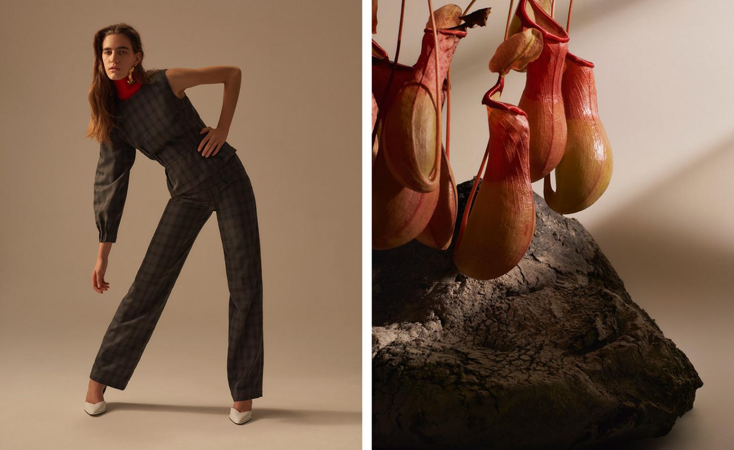 Jaeha AW 2017 自然灵感设计-14