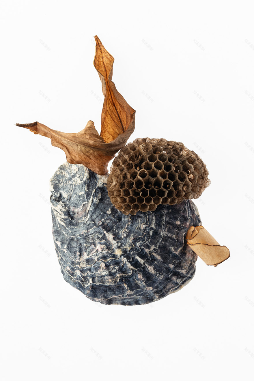 TorriPhoto摄影创作项目-31