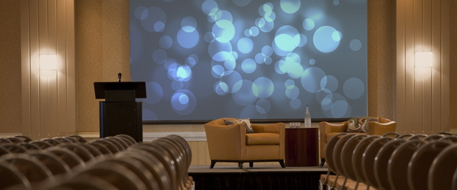 现代主义的酒店   The Baronette Renaissance Hotel  D ash Design-2