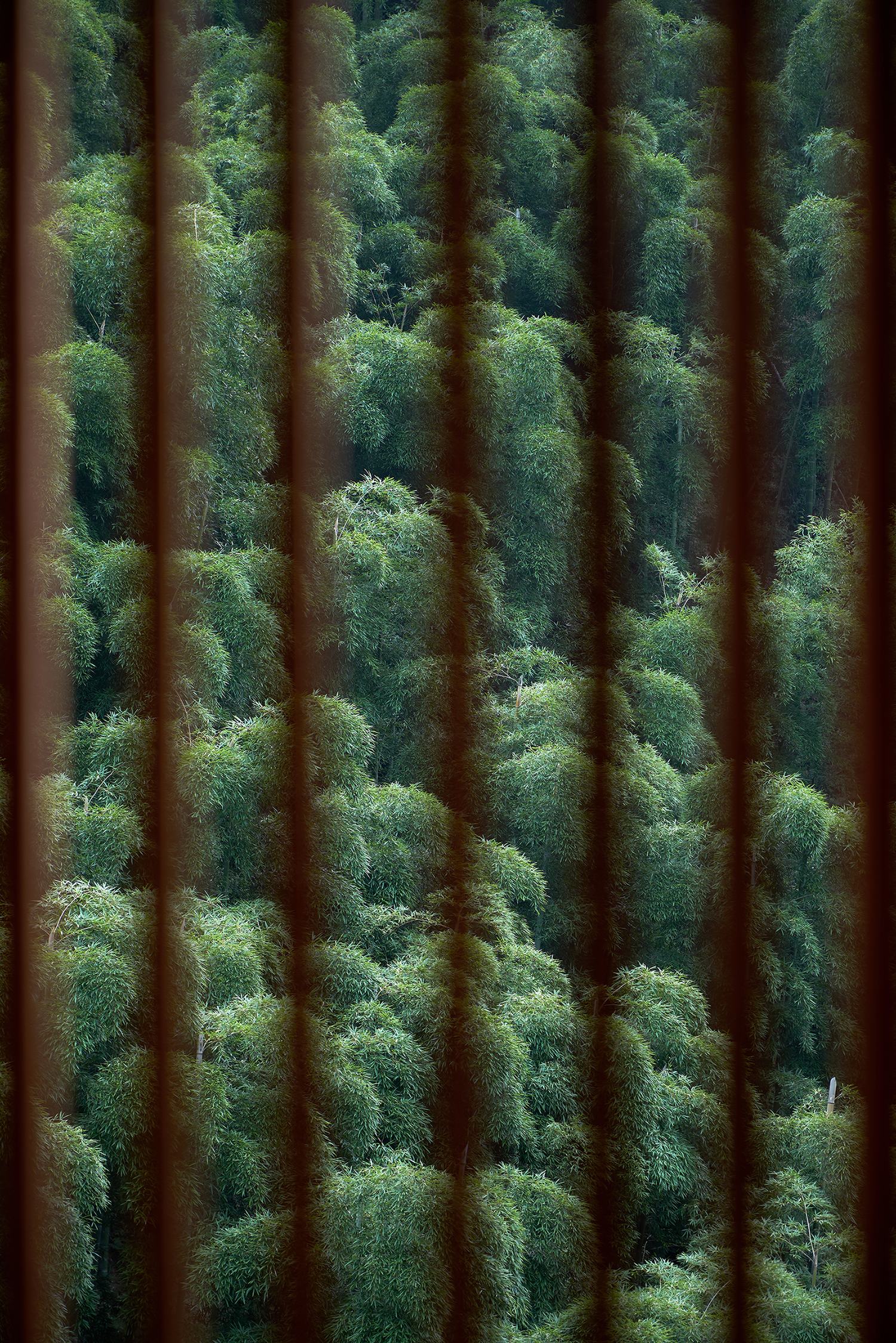 安吉尔庐度假酒店丨中国美术学院风景建筑设计-25