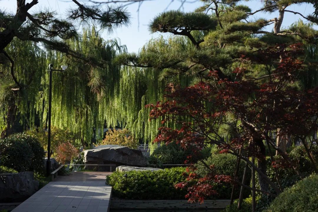 扬州新能源·上河殿丨中国扬州丨SWS Group 室内设计团队-9