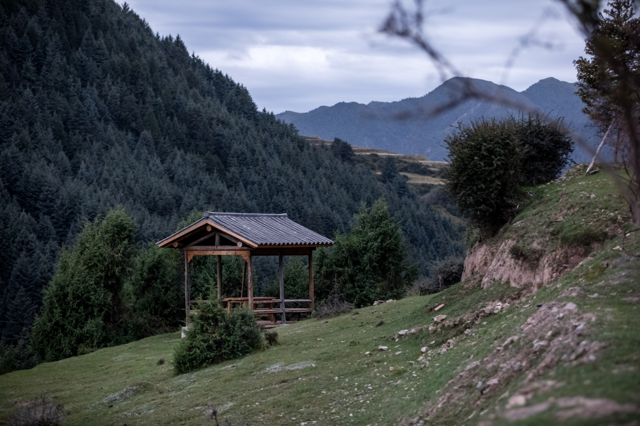 洗心院丨中国甘南丨陕西自在空间设计咨询有限公司-12