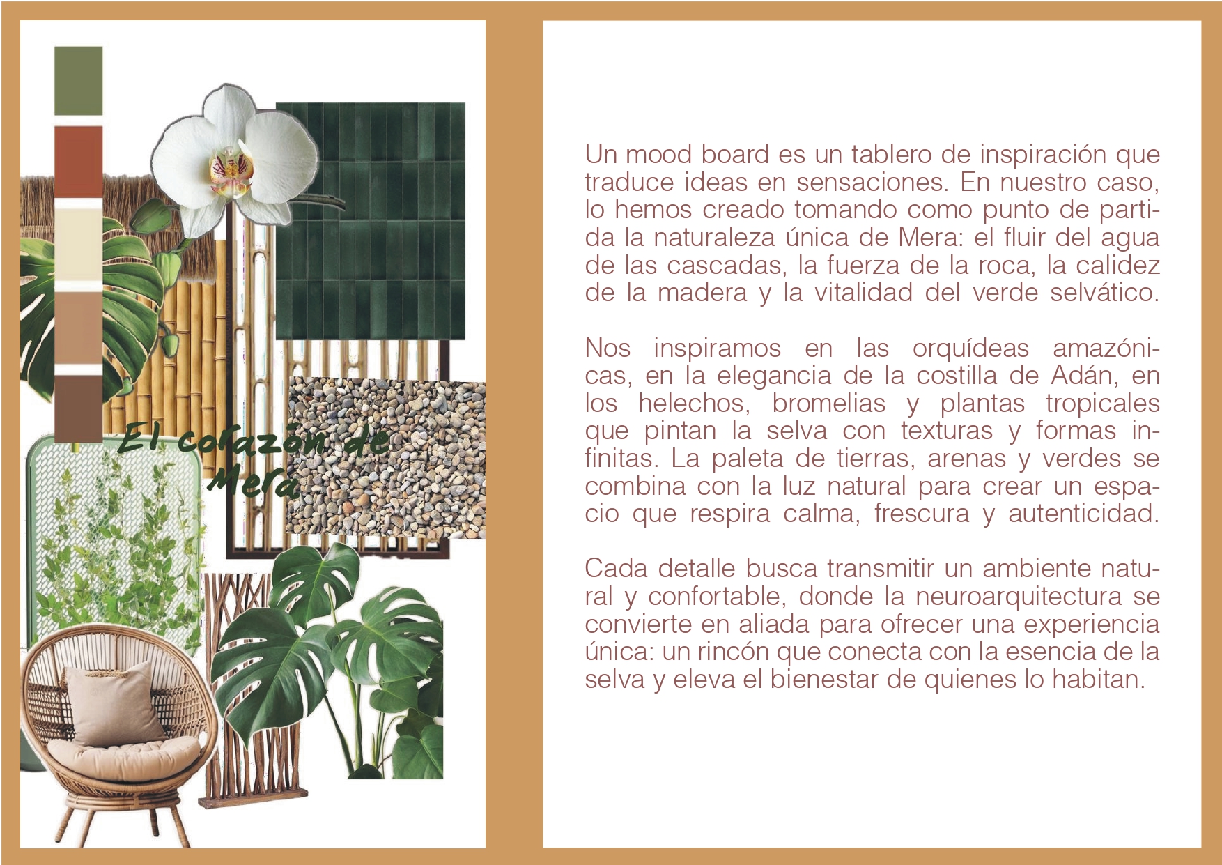 Airbnb en mera donde nace la vida- año 2025-2