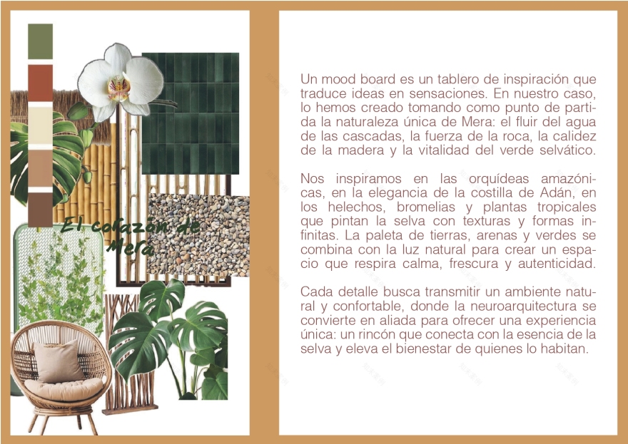 Airbnb en mera donde nace la vida- año 2025-2