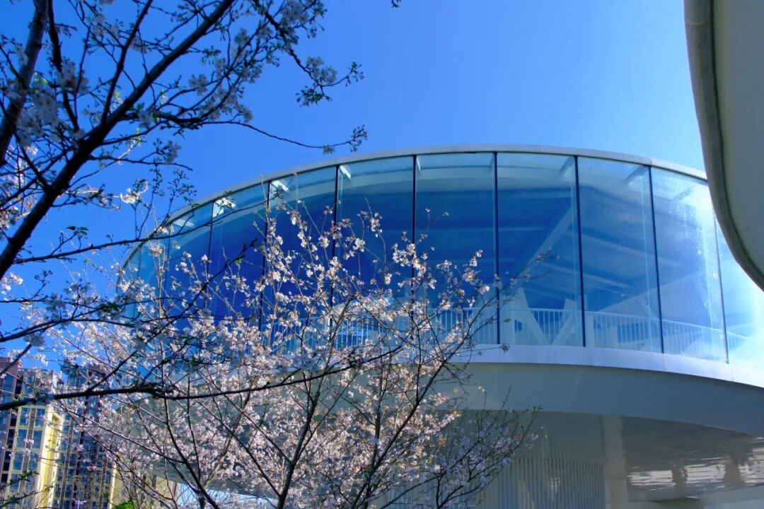 绿芯公园丨中国成都丨四川省建筑设计研究院有限公司SADI设计五院-15