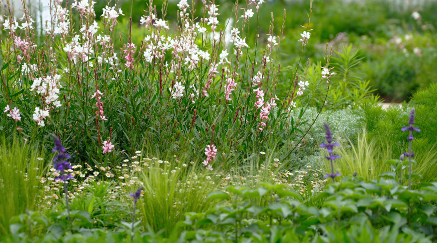 漫诗地展园丨中国成都-2