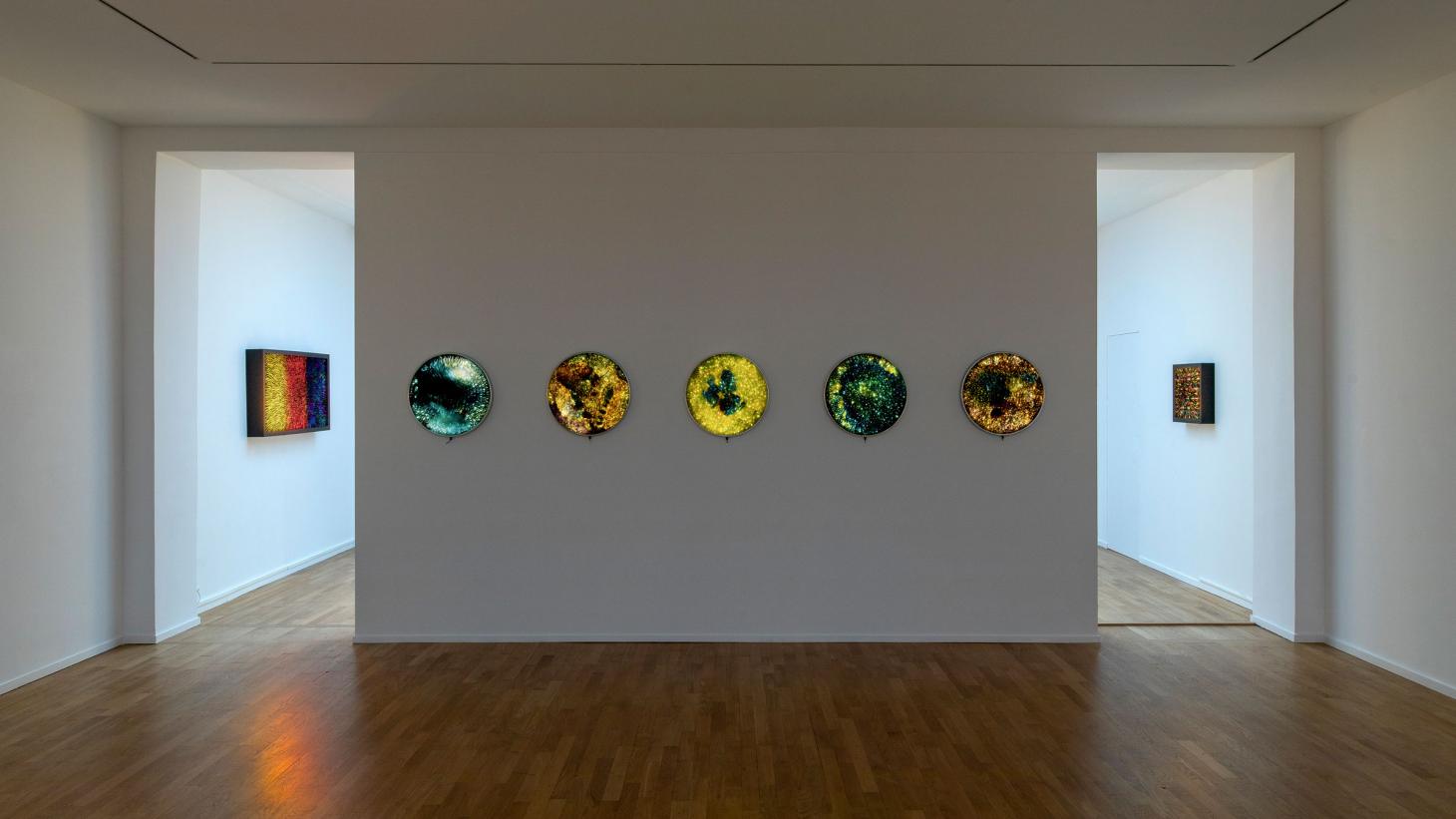 光影宇宙,捕捉社会政治阴暗面的艺术之作-20