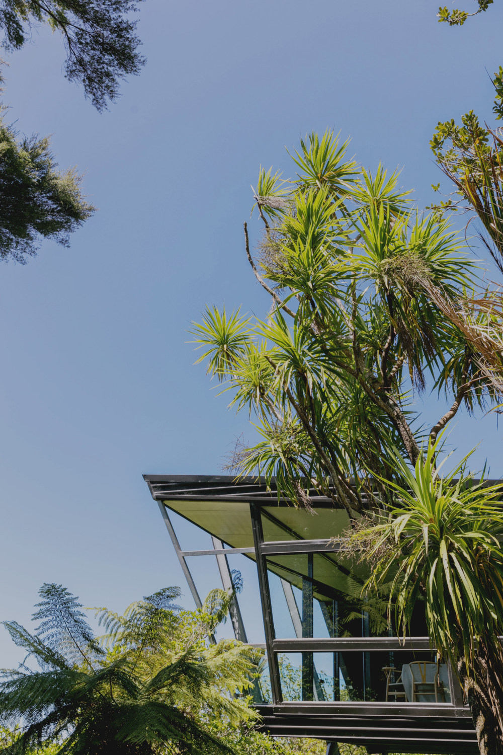 新西兰现代主义山坡之家-5