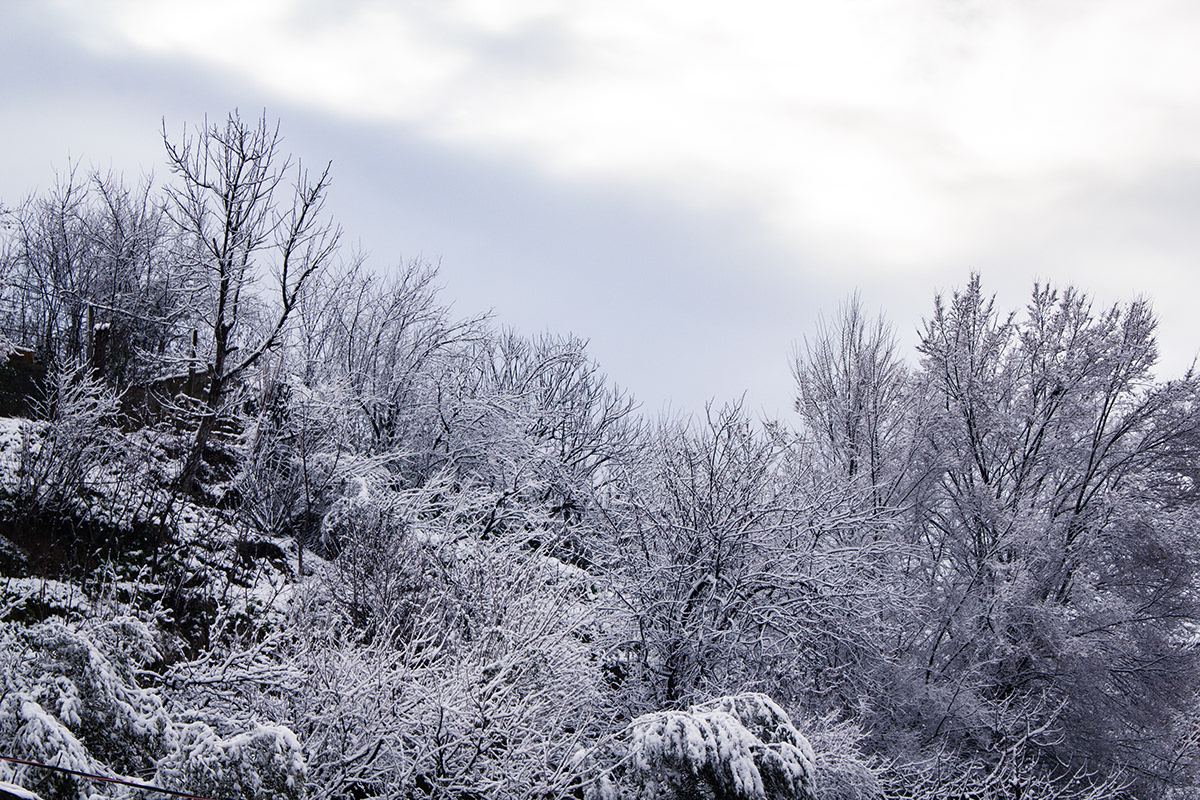 Anastasiya Gushchina丨乡村建筑丨Snow day-5
