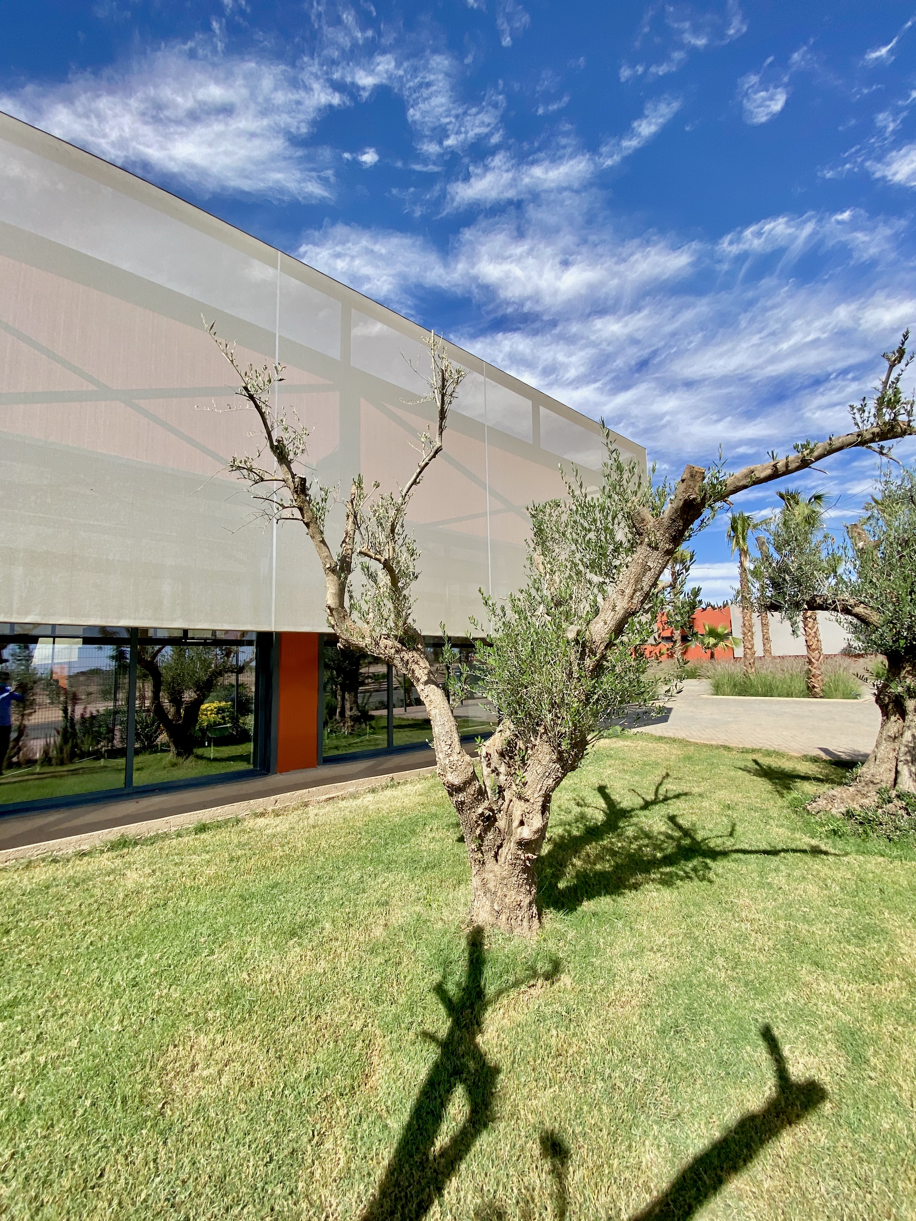 绿色城市的创新孵化器-17