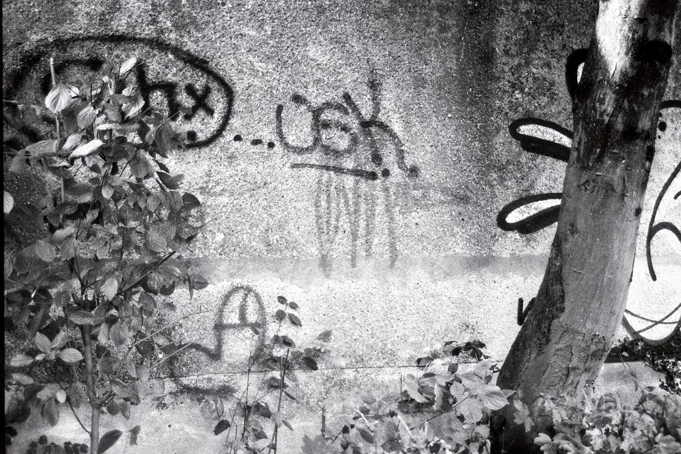 film photography | b/w walk-6