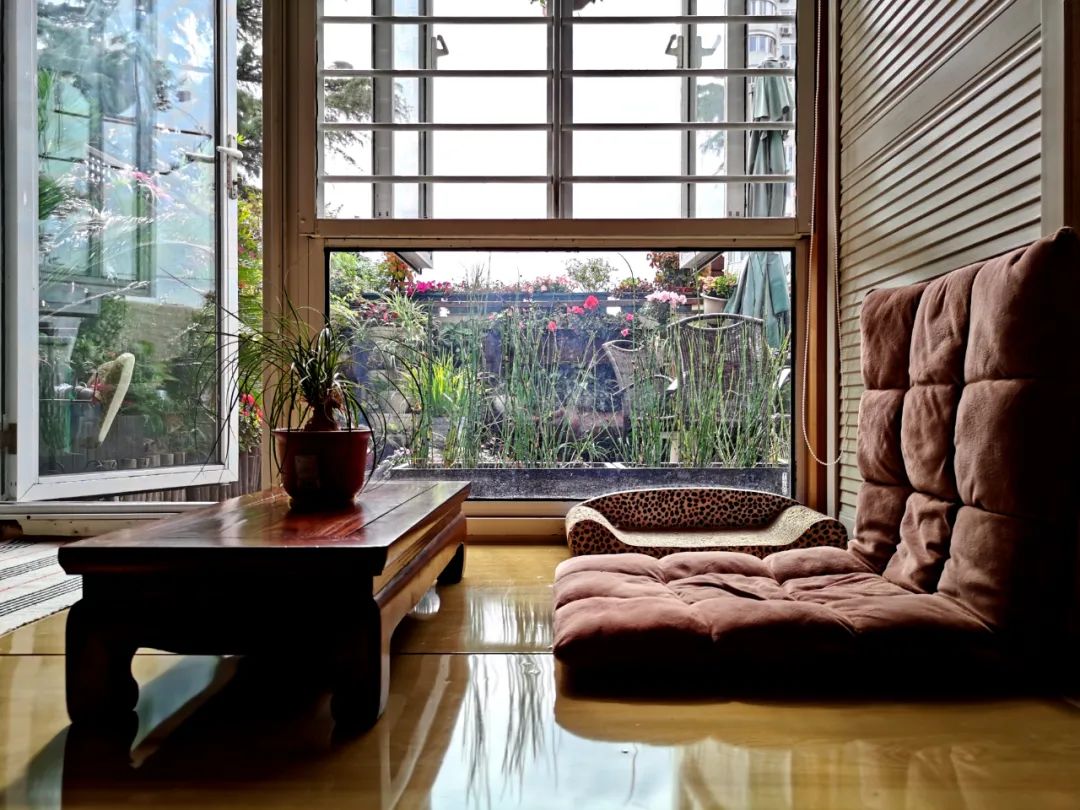 独居匠心，她把仅有10多㎡的小露台打造成成上海十佳“美丽阳台”之一！-30