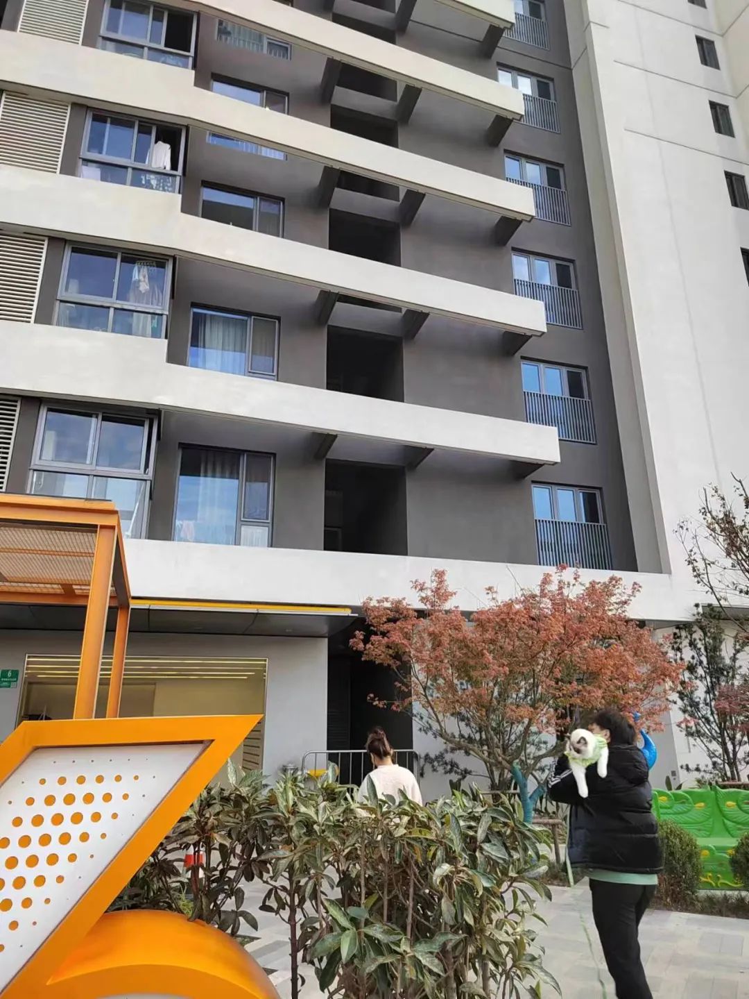 真叫卢俊：保租房这么做差不多已经到顶了-57