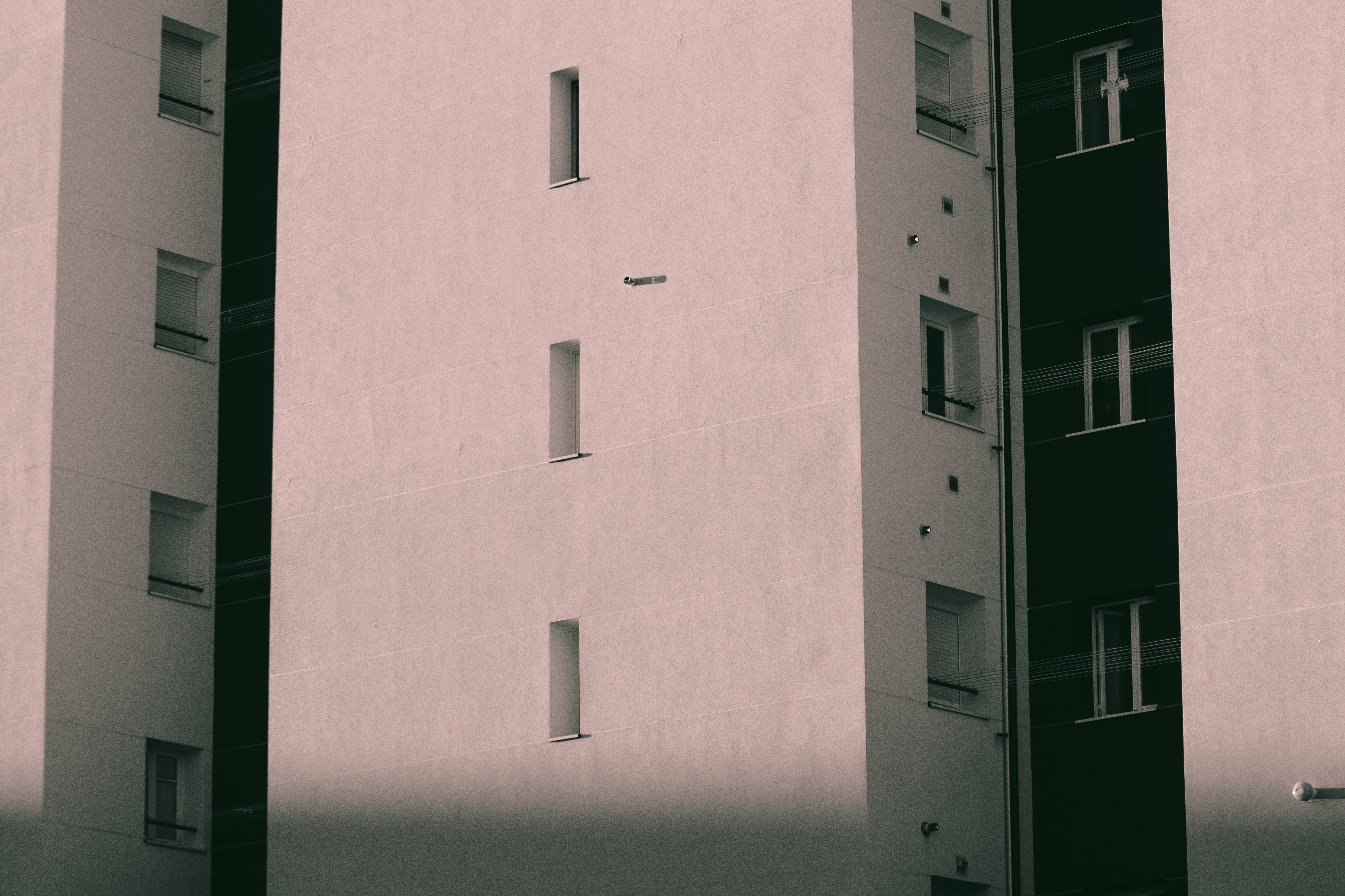 用 86 年的远摄镜头拍摄-6