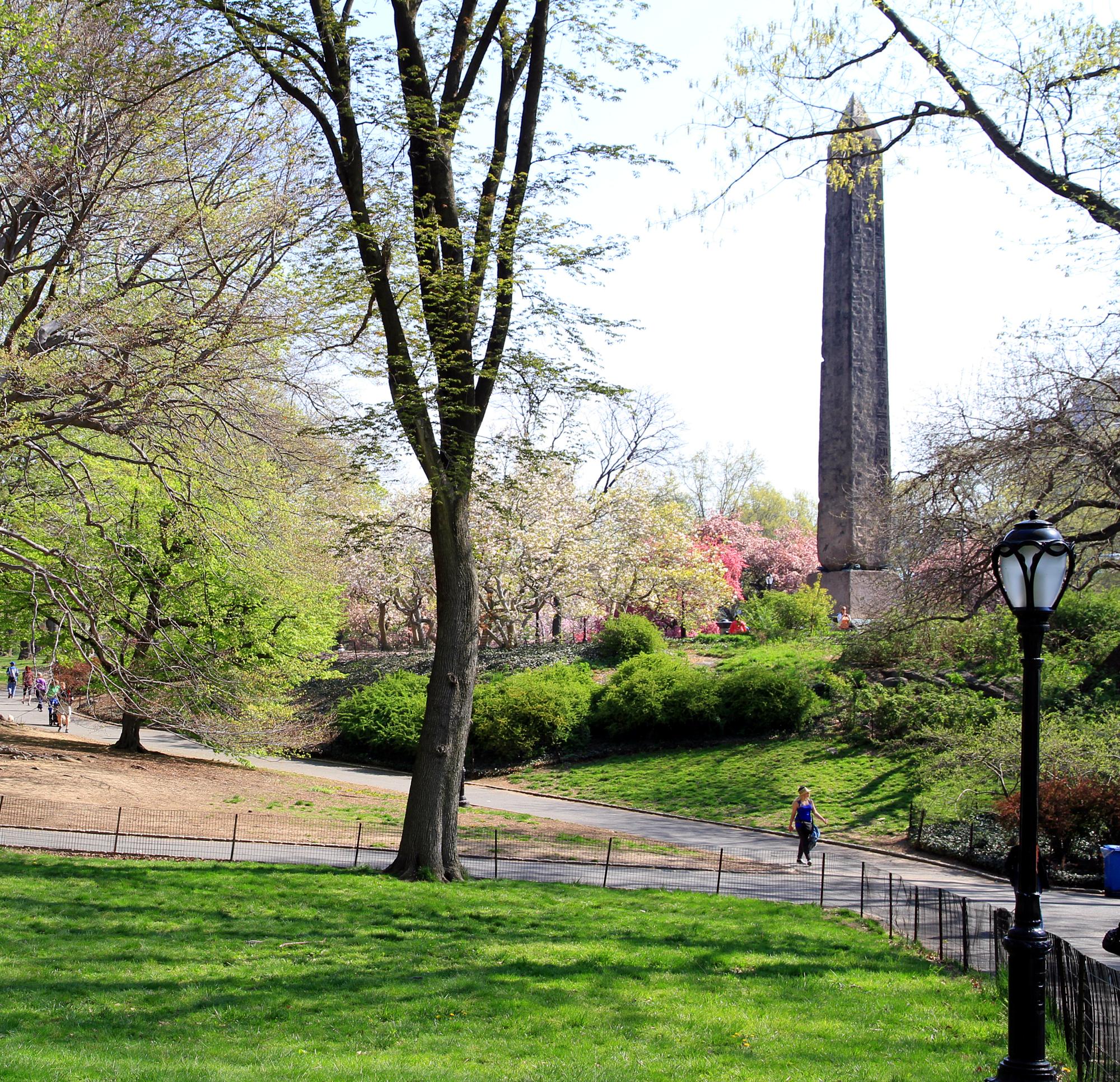 纽约中央公园的克利奥帕特拉方尖碑安置项目丨美国纽约-0