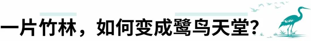 顺德鹭鸟湿地片区景观规划丨中国佛山丨AECOM-3