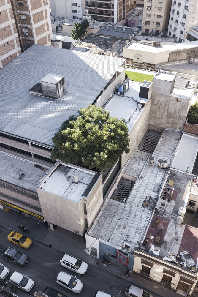 阿根廷建筑师协会总部 · 混凝土与绿意的共生-55