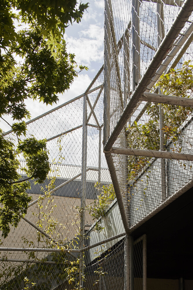 伊斯特姆街住宅丨澳大利亚丨Muir-33