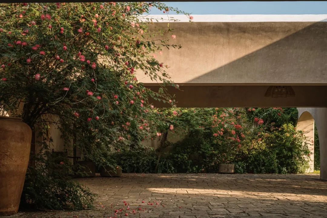 DUA Villa丨印度尼西亚丨Architecture BRIO Kunal Maniar-41