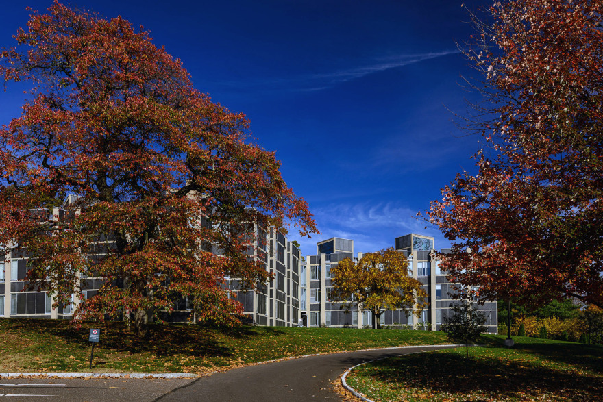丨美国宾夕法尼亚丨Louis I. Kahn-11