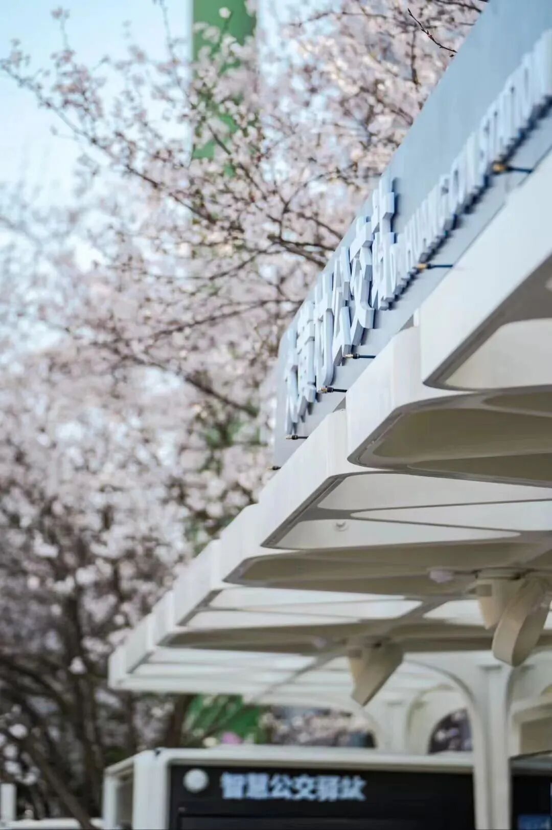 深总院微空间，雕琢樱花公交站之美-28