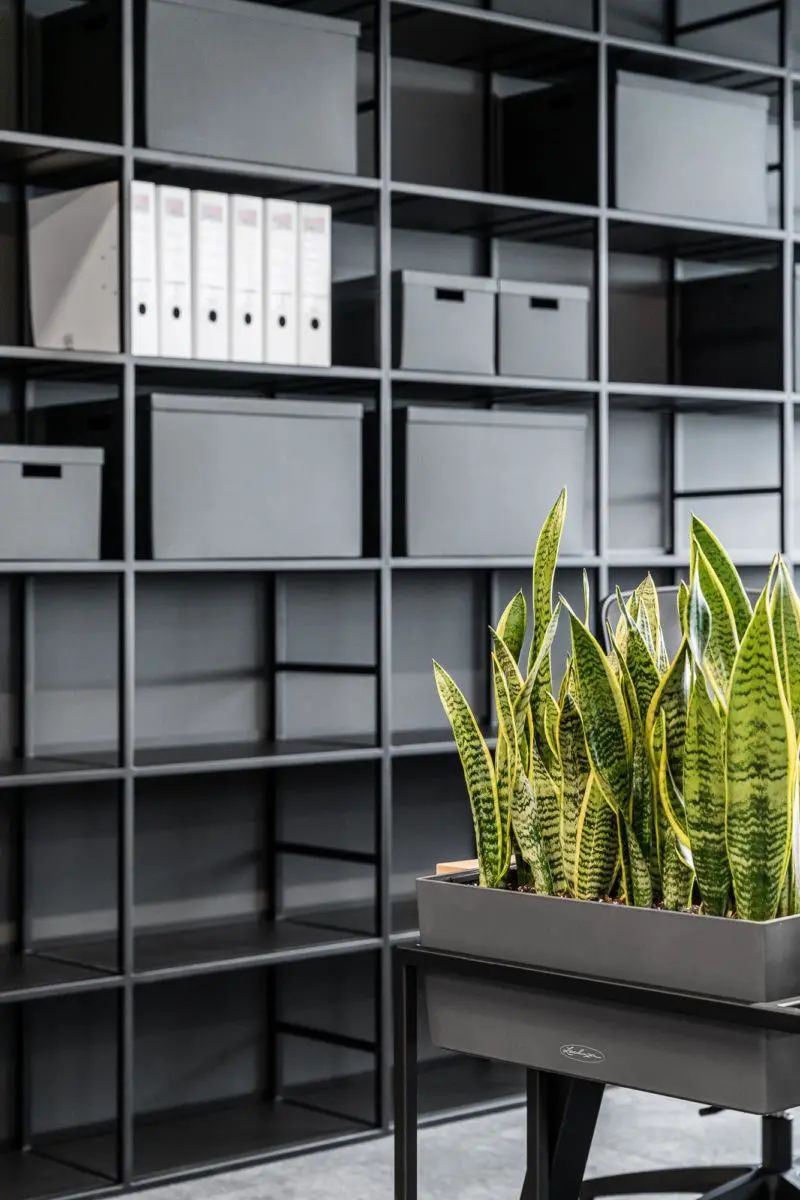 HAMA 波兰总部办公室设计丨ELM PROJEKT STUDIO-18