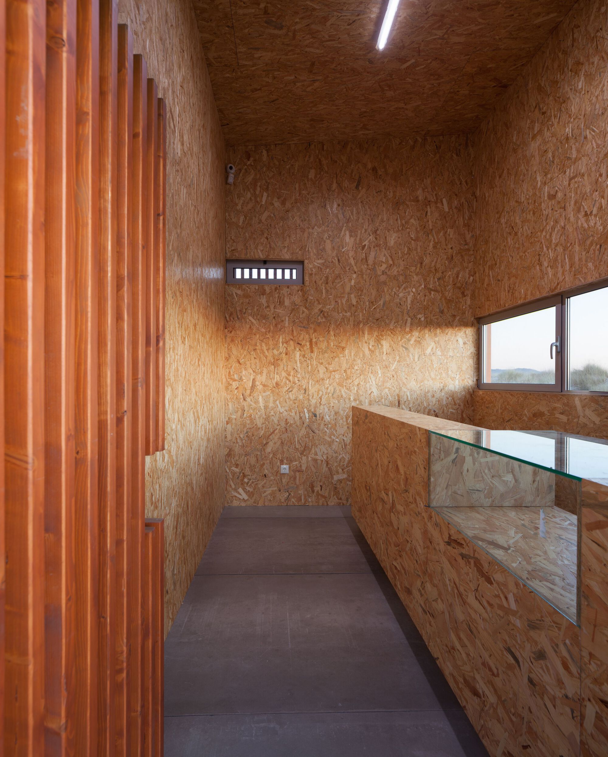 Support Center for Sports Activities / Branco Cavaleiro Architects-40