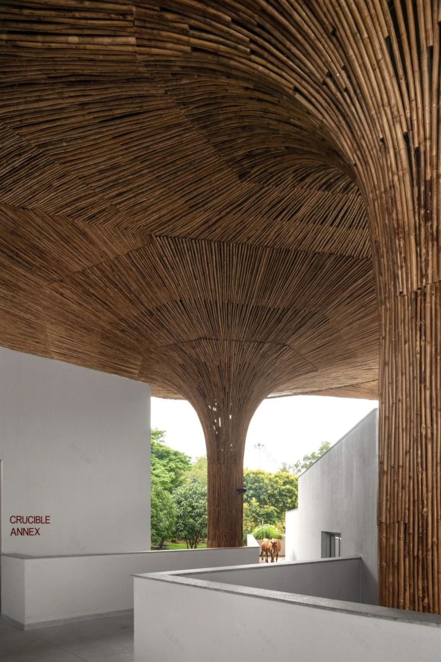 内向生长,构筑精神的故乡丨印度哥印拜陀-104