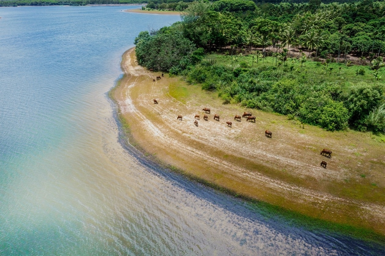 万宁万华·万岭麓湾下叠别墅样板间丨盘石设计吴文粒-0