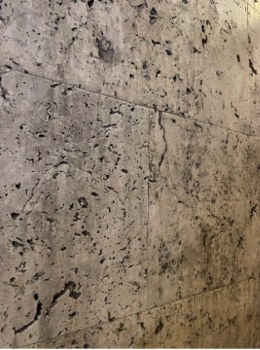 上海市优秀历史建筑丨近代高层公寓静安宾馆的保护与活化-71