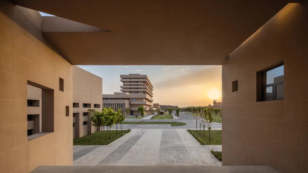 中国院作品|新疆塔里木大学新校区风雨操场-34