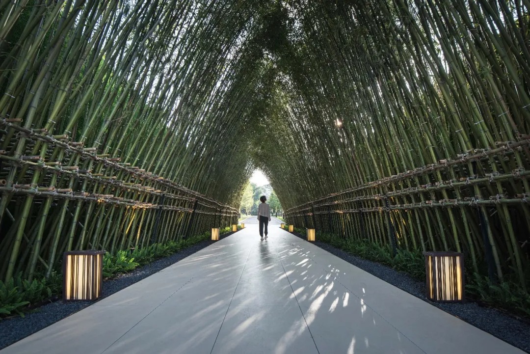 道远设计丨增城 金地&北辰·兰亭香麓 景观设计 丨中国广州-3