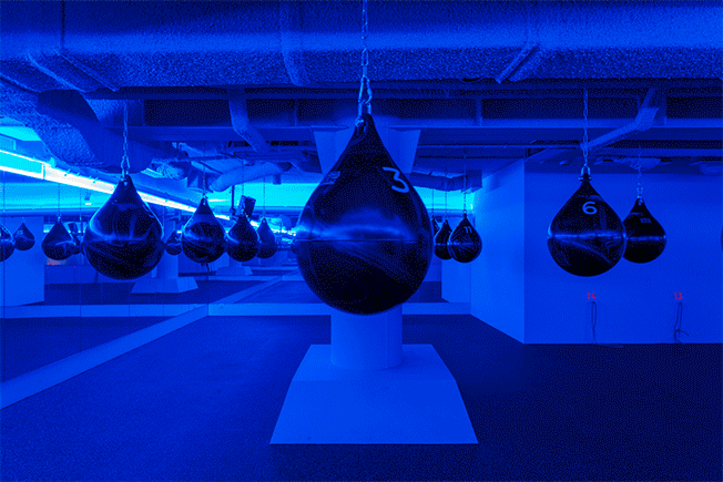 370㎡莫斯科GO Boxing拳击俱乐部  MAST工作室-1