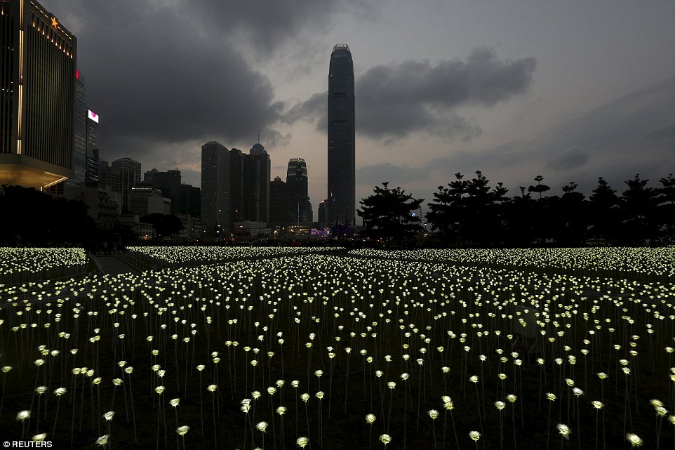 Light Rose Garden HK 玫瑰灯海园 – 香港站-4
