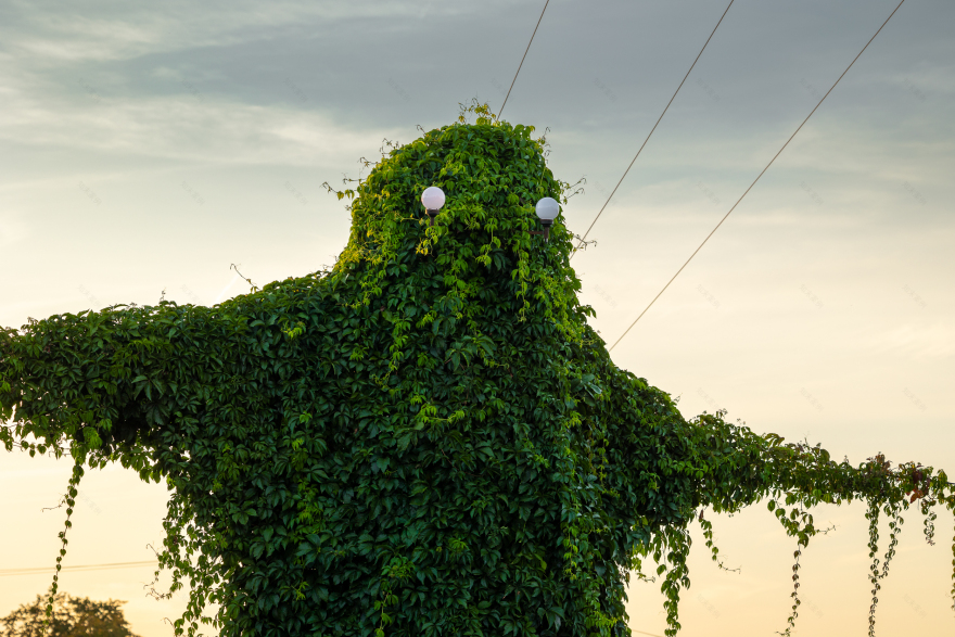 波兰奥波莱省“神秘生物”电线杆景点丨波兰波莱-4