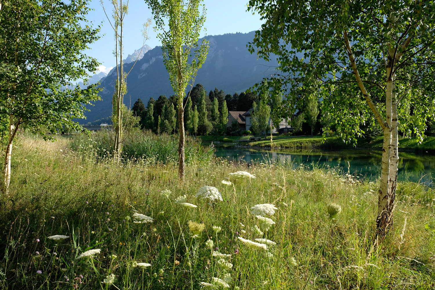 瑞士工厂池塘的绿色重生-34