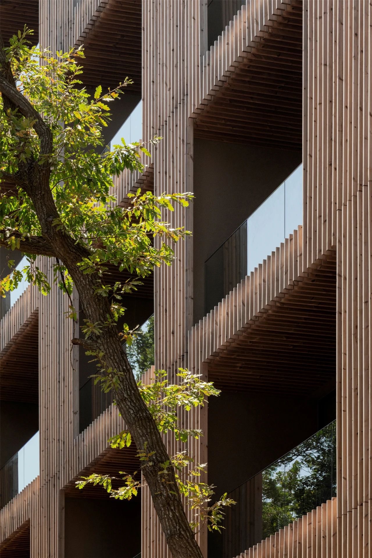 竹中诊所 - 温暖透明丨日本丨TSC Architects-68