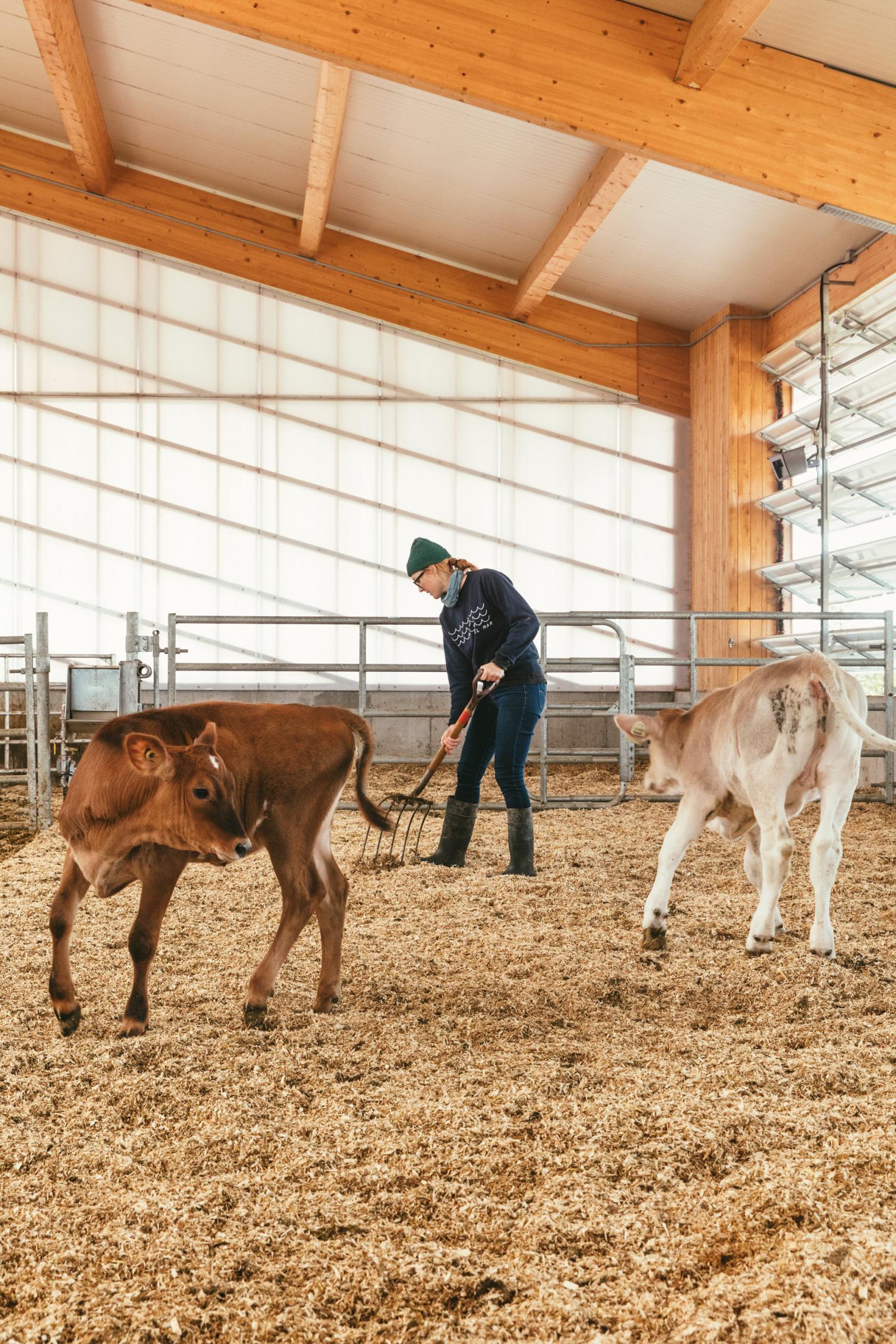 融入自然的奶牛棚设计-20
