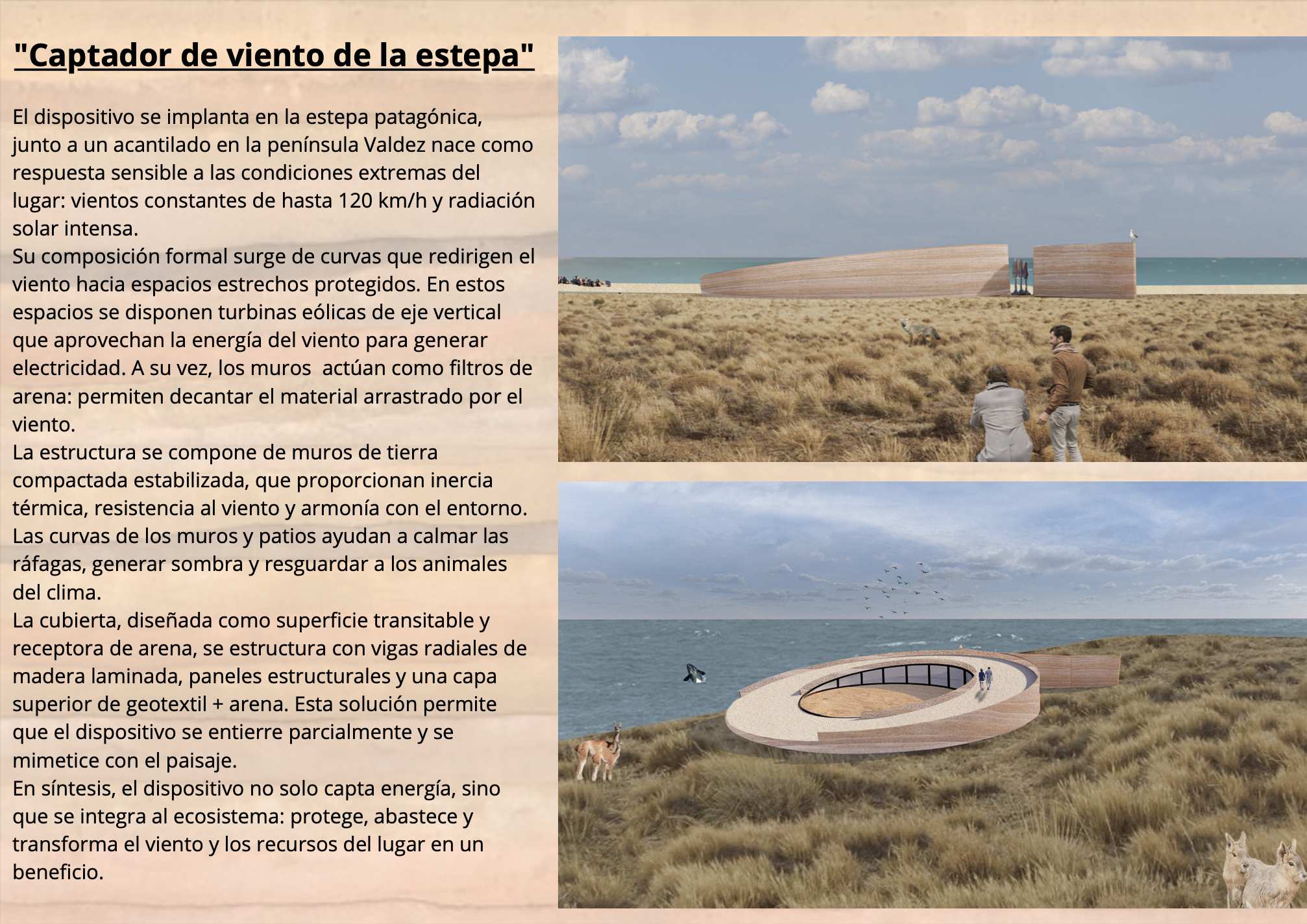 Captador de Viento en Estepa Penísula Váldes-0