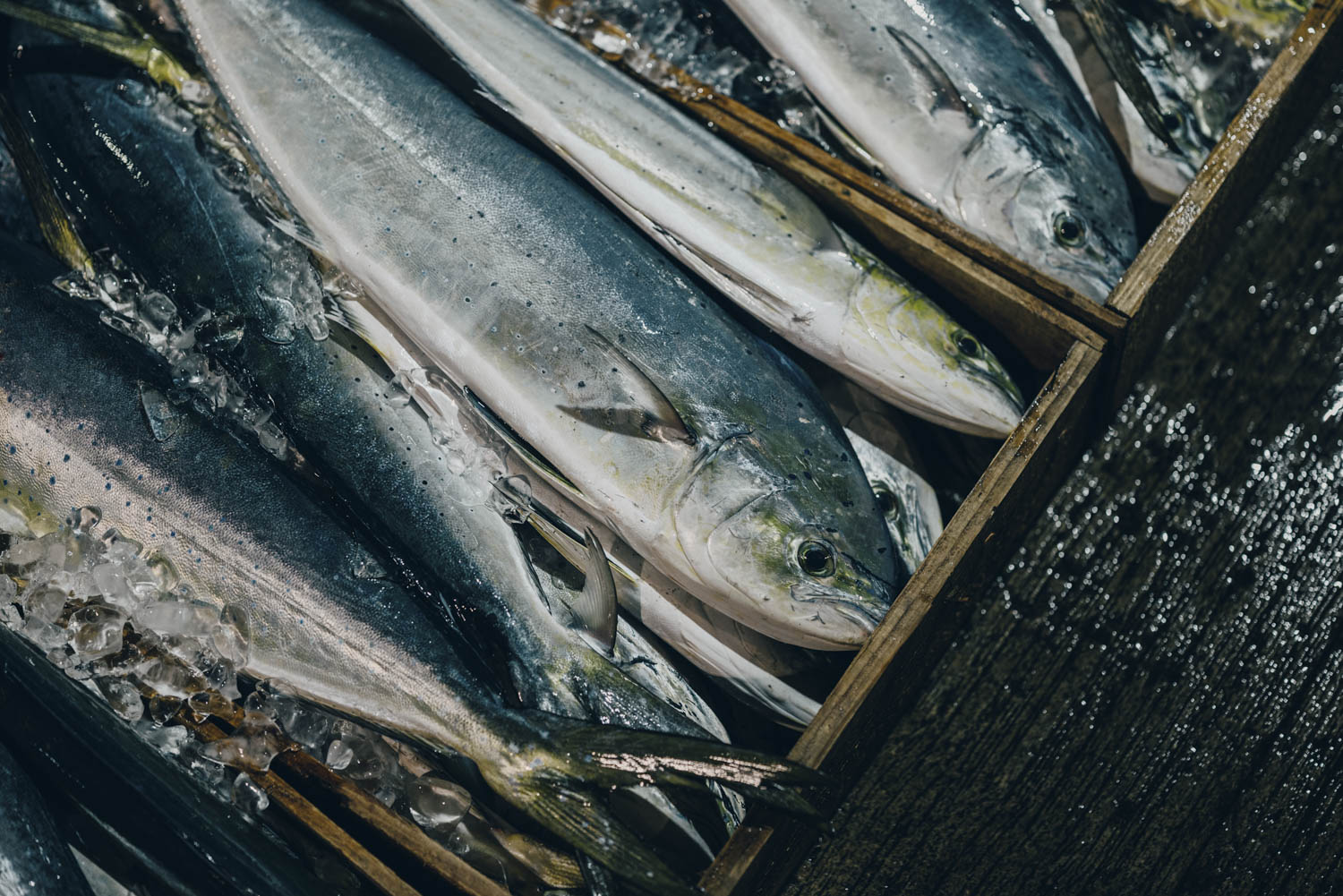 丨建築家・佐々木達郎-18