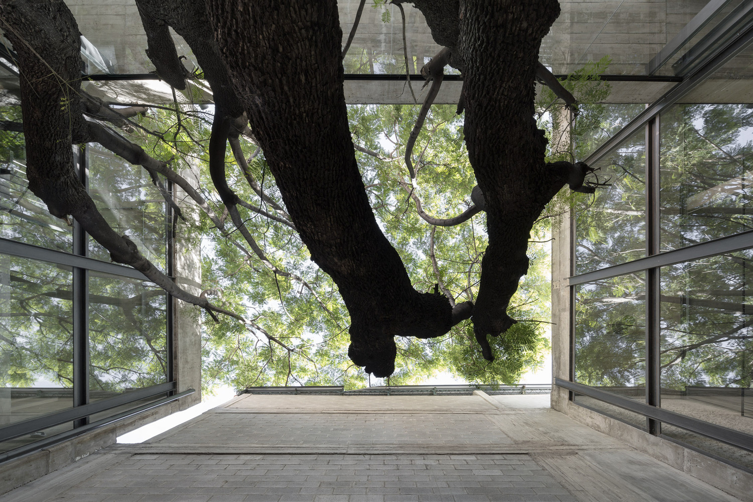 阿根廷建筑师协会总部 · 混凝土与绿意的共生-60