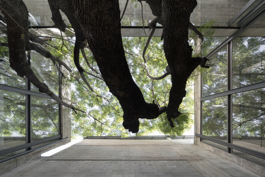 阿根廷建筑师协会总部 · 混凝土与绿意的共生-60