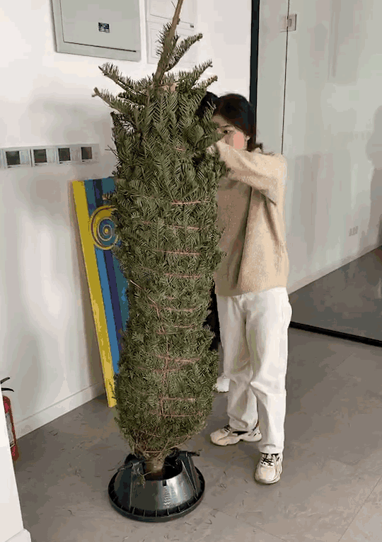 唯想圣诞树诞生记 | 甲方送礼的惊喜设计之旅-13