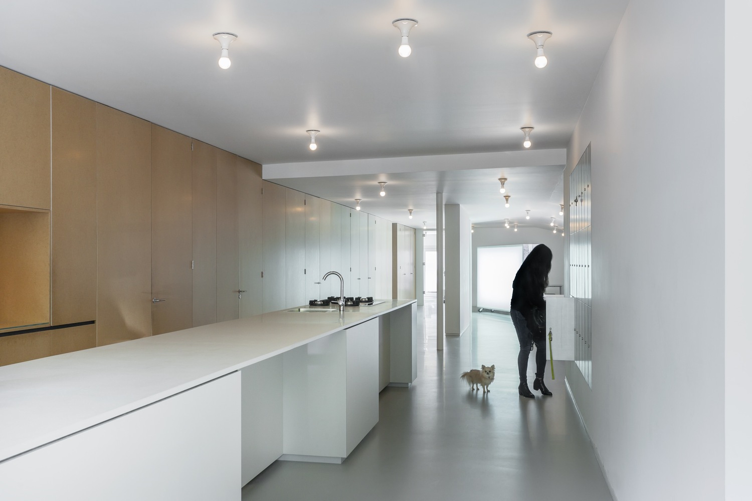 神秘阿姆斯特丹庭院办公空间-31