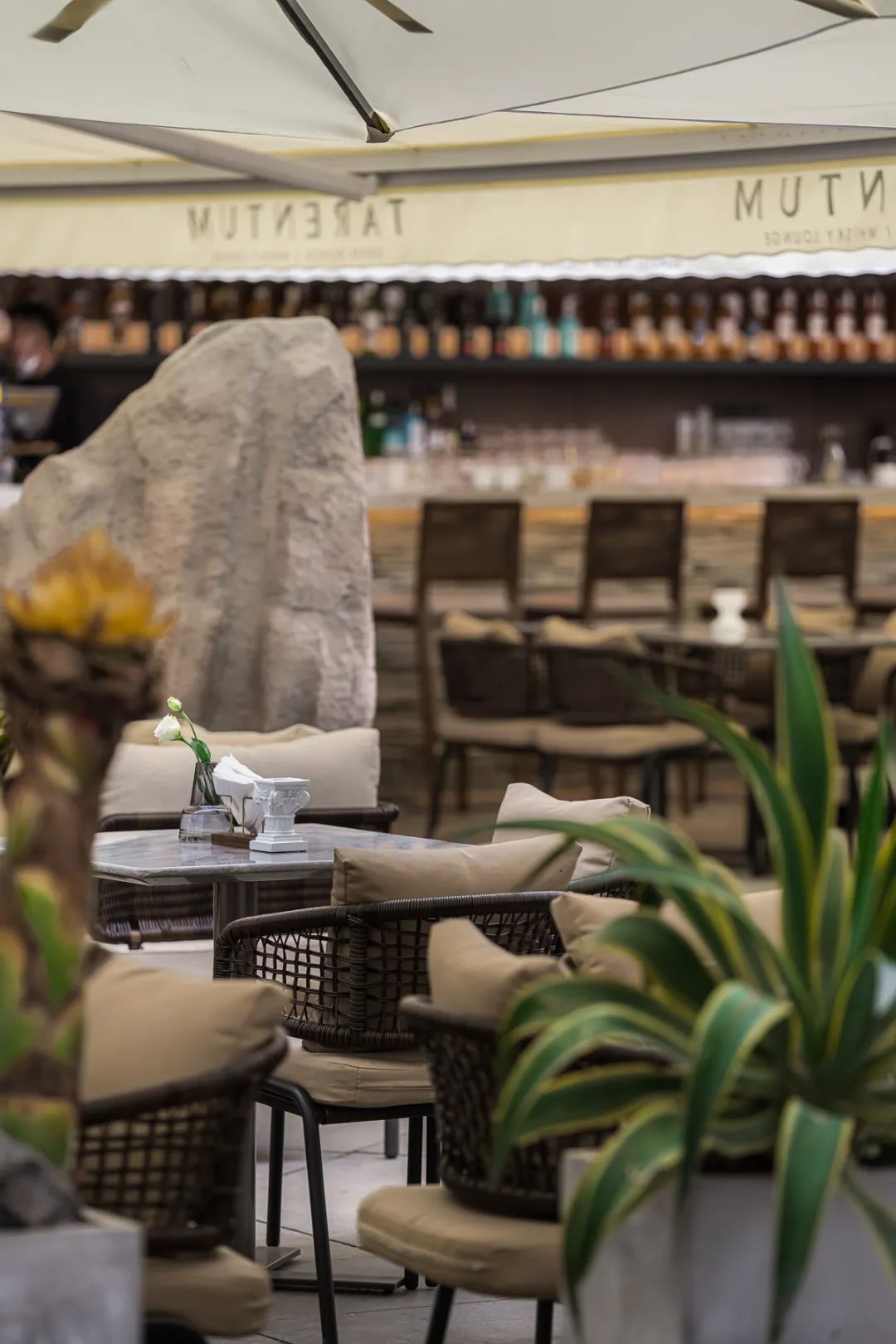 TARENTUM 萄木丨中国深圳丨RBD DESIGN BOX 瑞本设计-40