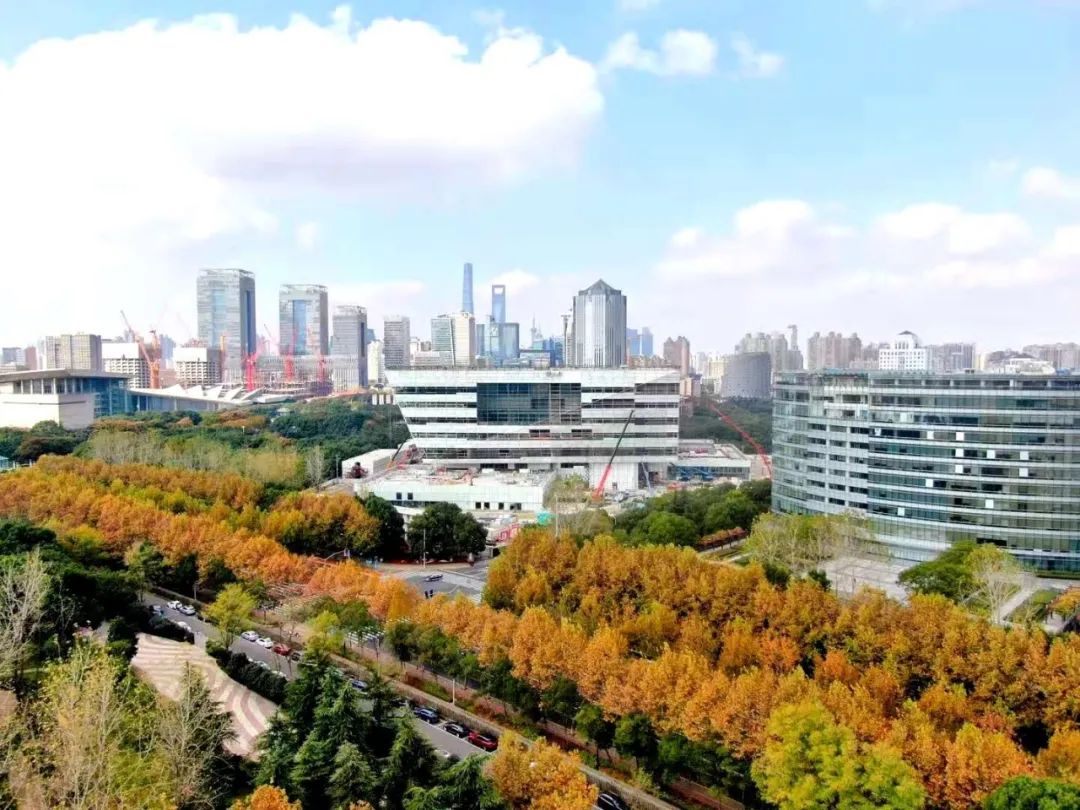 上海图书馆东馆 | 公园边的“公共”阅读空间-59