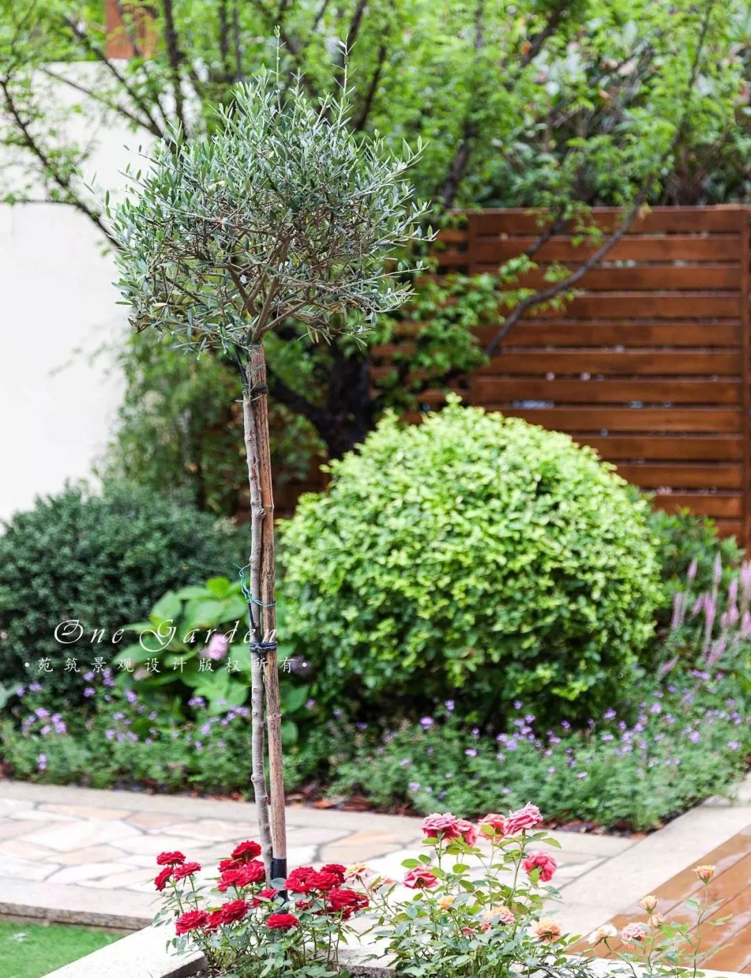 情感延续的富力湾花园 | 承载回忆的 420㎡自然空间-65