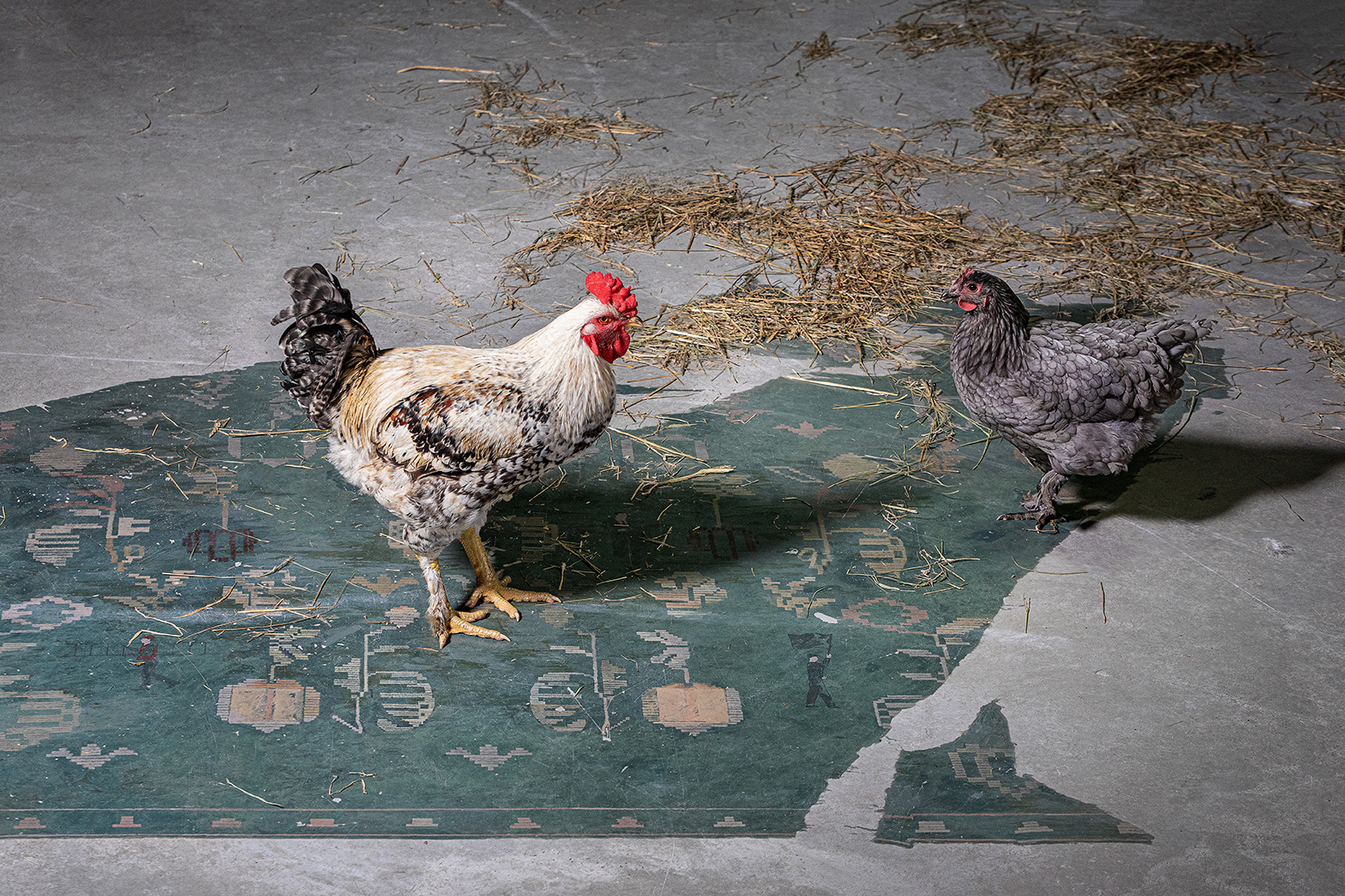 乌克兰 Svoyeridne Showroom · 艺术实验空间丨乌克兰哈尔科夫丨SBM studio-8